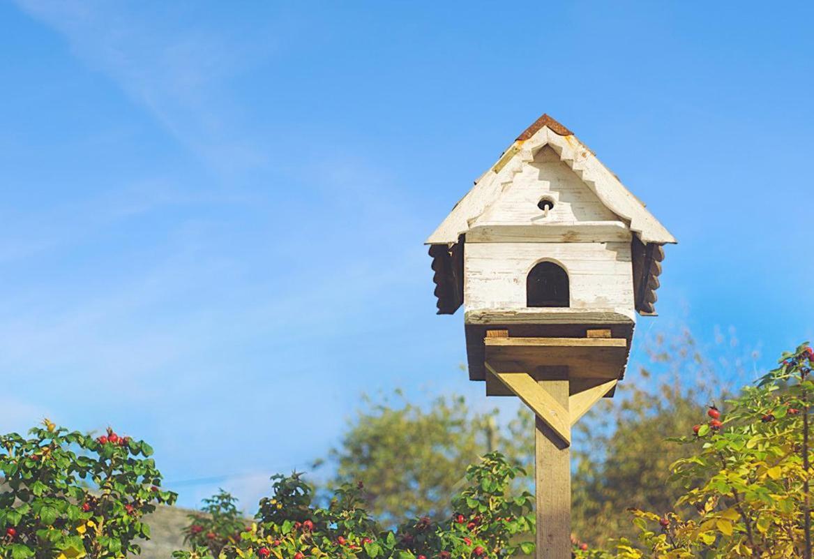 Bratton Mill Farmhouse Bratton Fleming Ngoại thất bức ảnh